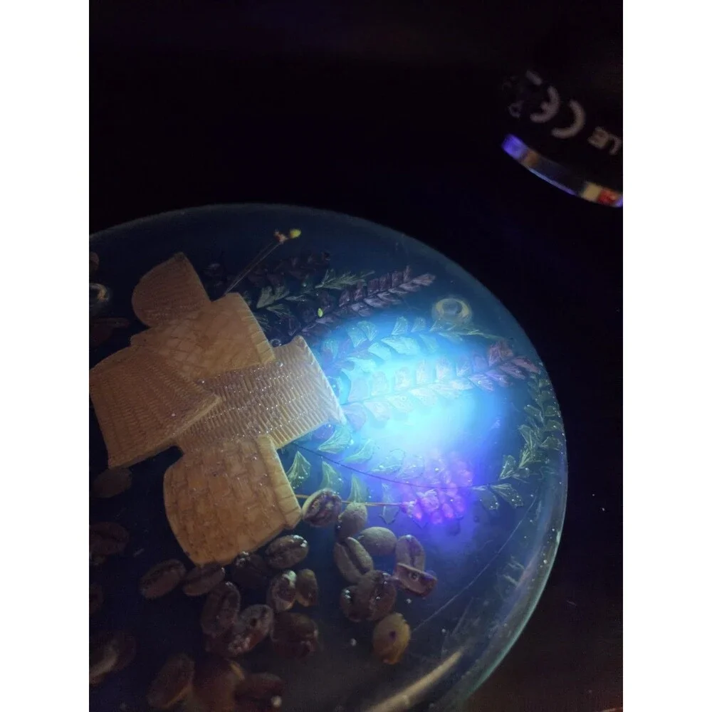 Vintage Glowing Lucite Trivet Hot Plate With Dried Botanicals